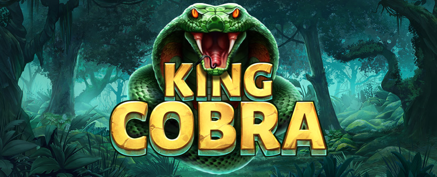 King Cobra is a 5 Row, 5 Reel, 15 Payline pokie with exciting Features as well as Payouts up to 10,000x your stake! 